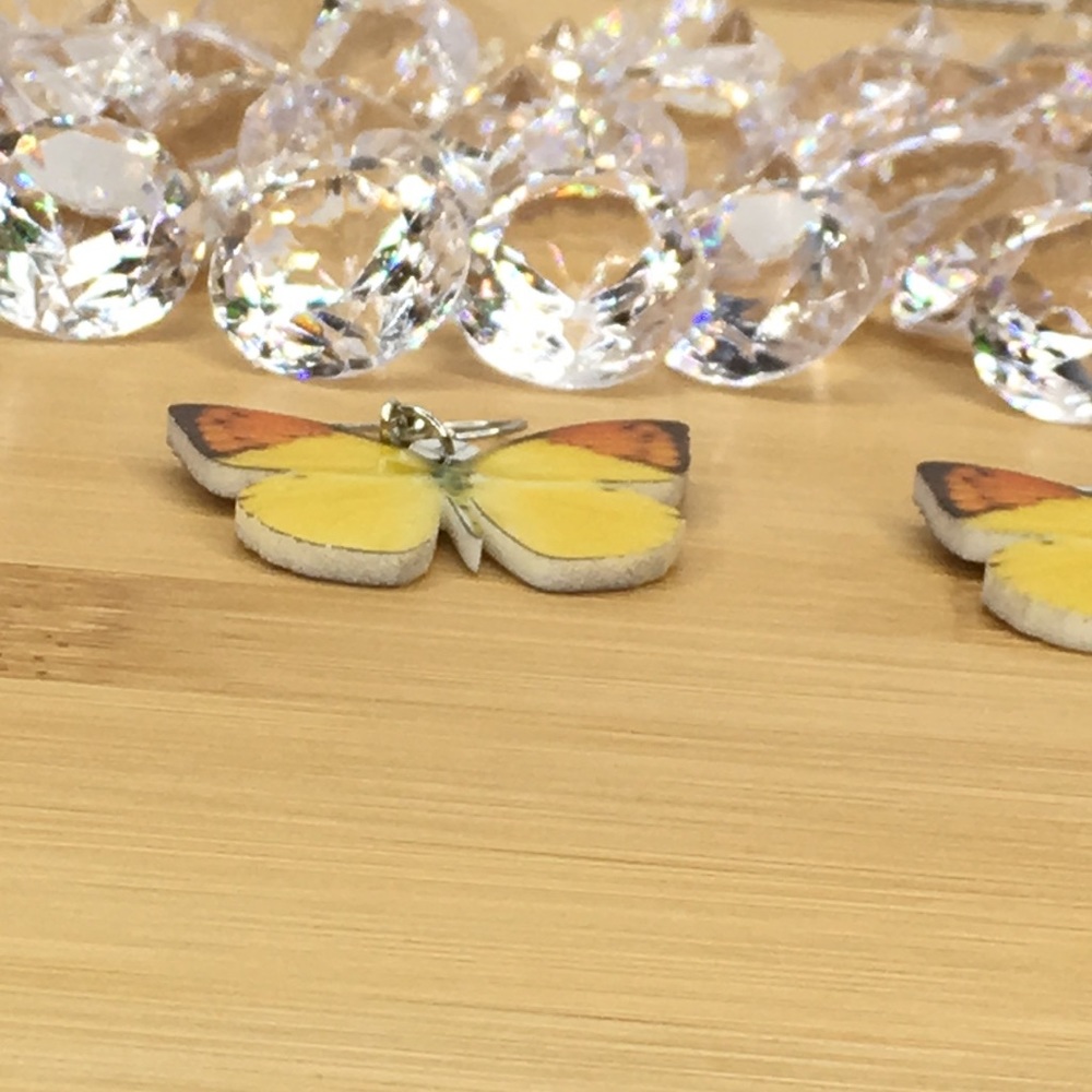 Pieridae Acrylic Butterfly Earrings - Picture 3 of 7